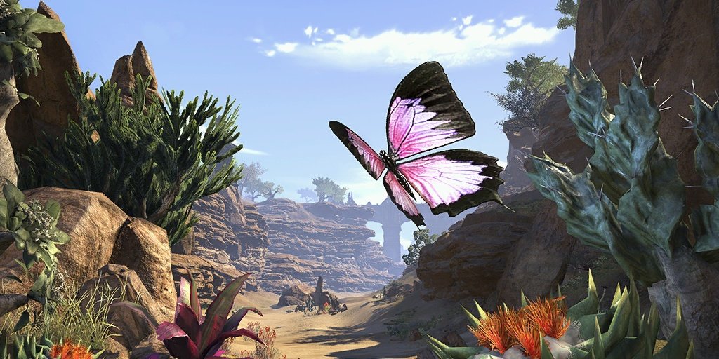 aw_crwn_pets_marasblushbutterfly_1x1-434a8278a4a1.jpg