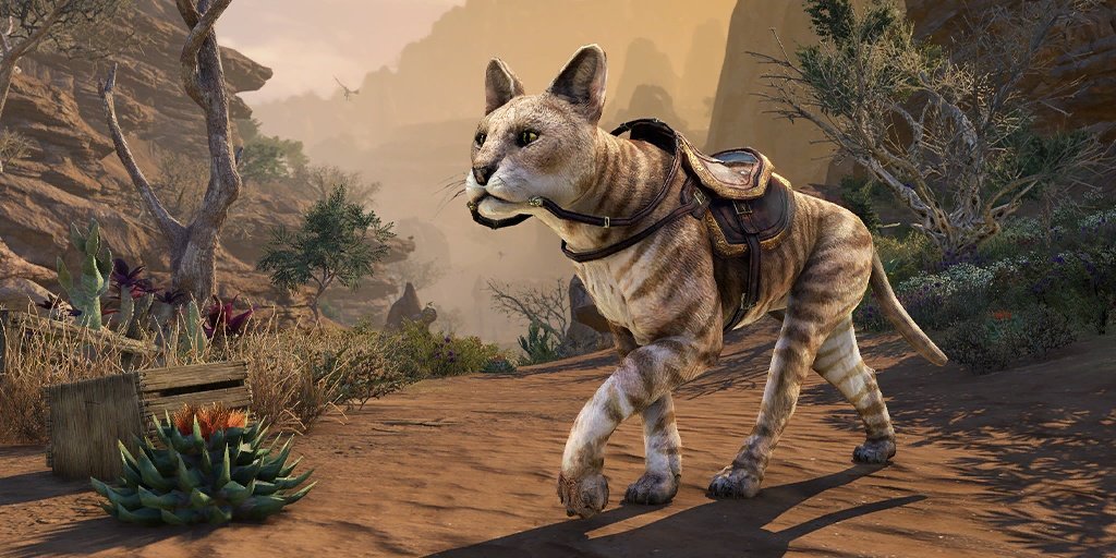 aw_crwn_mounts_dunecoatsencheserval_1x1-91e0988eec07.jpg